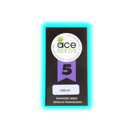 ACE SEEDS CBD 1