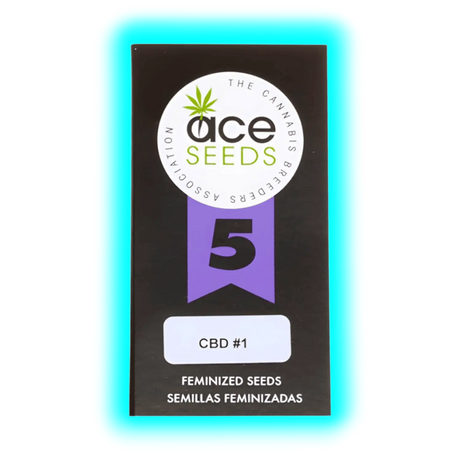 ACE SEEDS CBD 1