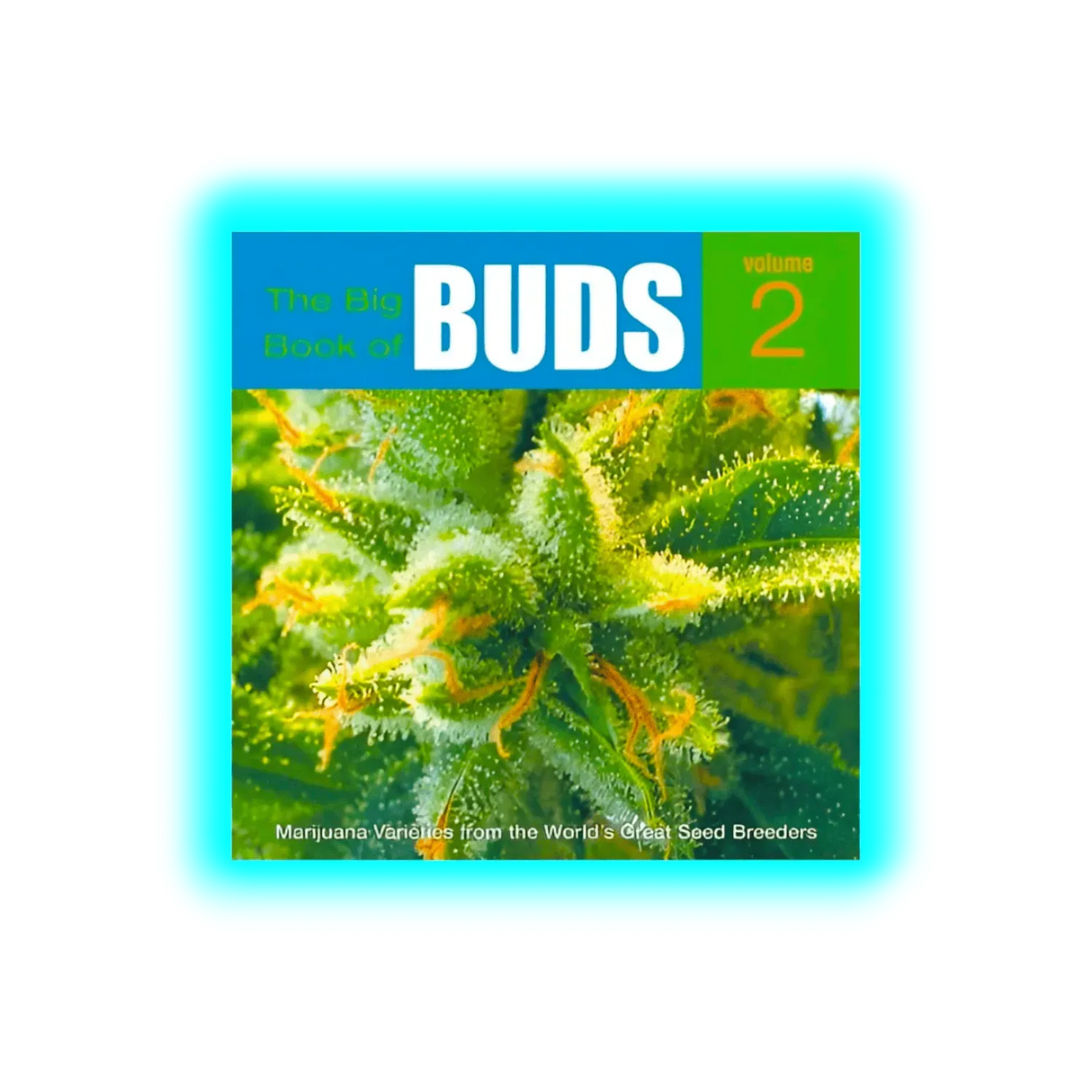 Big Book of Buds 2