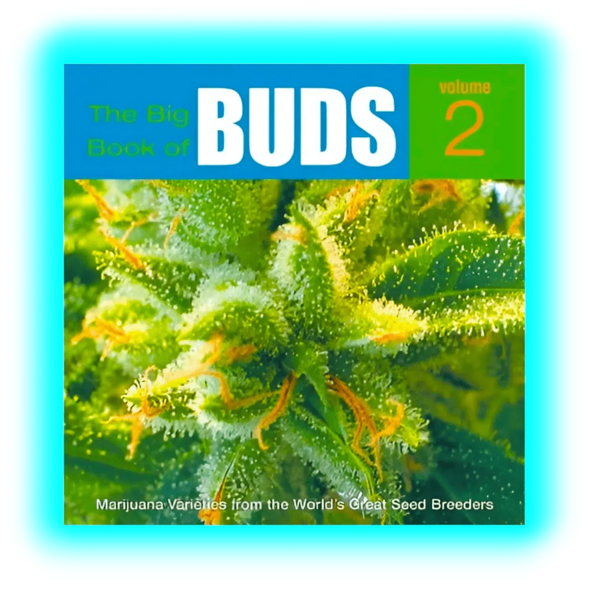 Big Book of Buds 2