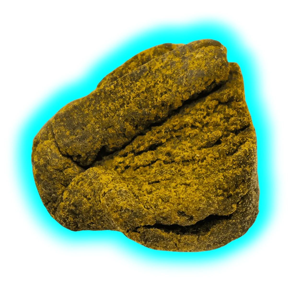 Bio Sativa Swiss Best Hash Golden Maroc 2g