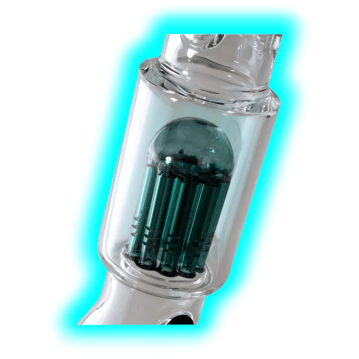 Black Leaf Beakerbong 10-Arm Baumperko QINGLONG 49cm