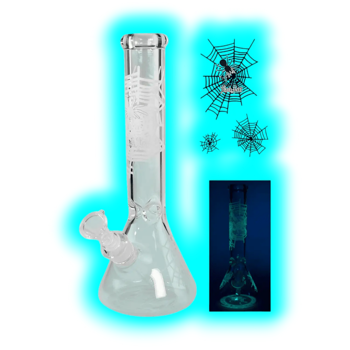 Black Leaf' 'Spider Net' Kolbenbong Ice Glow 36cm