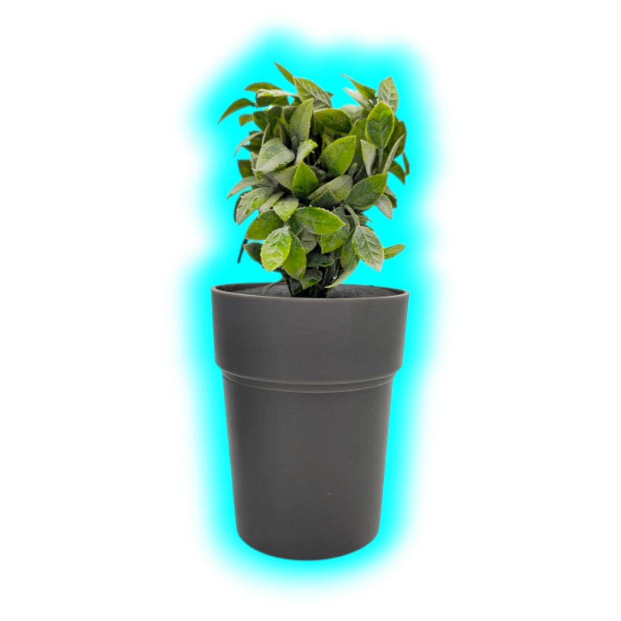 Buddies Flower Pot Safe
