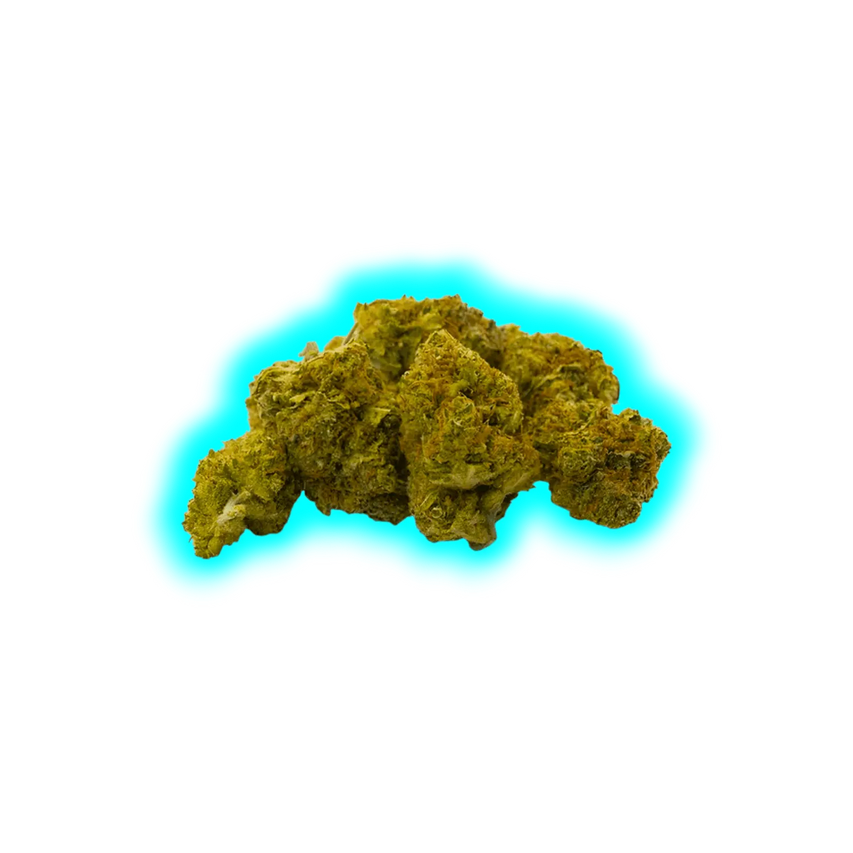 Nahaufnahme eines einzelnen CBD-Blütenknospen mit kompakter, unregelmäßiger Form und sichtbaren Trichomen