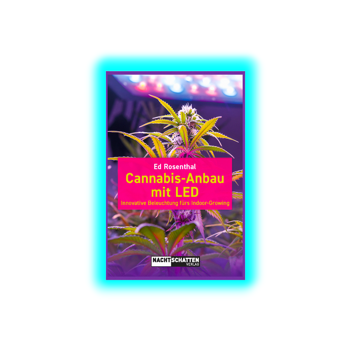 Cannabis-Anbau mit LED. Innovative Beleuchtung fürs Indoor-Growing