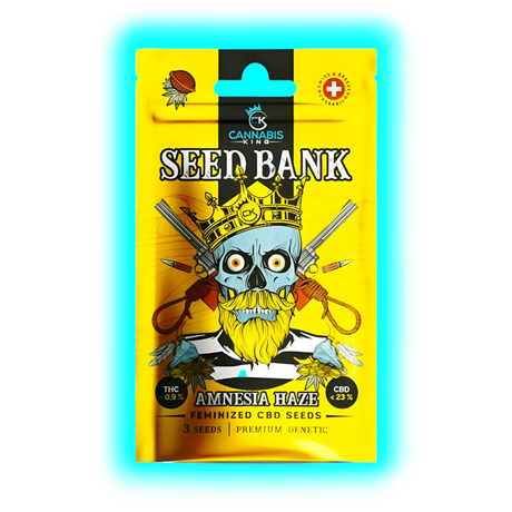 Cannabis King Amnesia Haze Seeds 3pcs