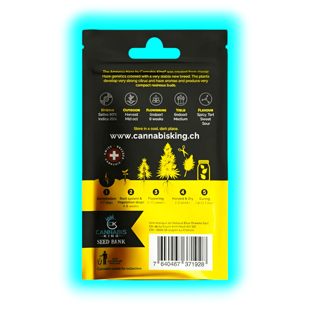 Cannabis King Amnesia Haze Seeds 3pcs