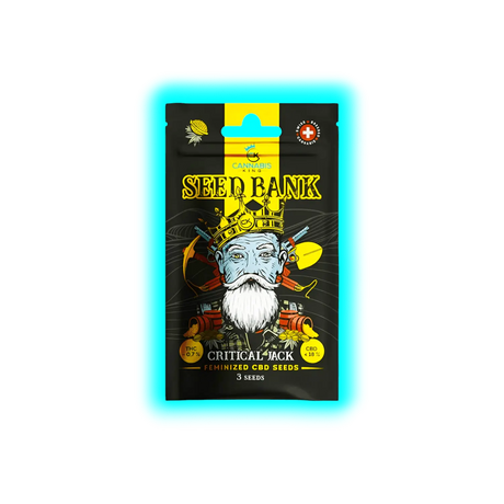 Cannabis King Critical Jack Seeds 3pcs