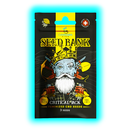 Cannabis King Critical Jack Seeds 3pcs