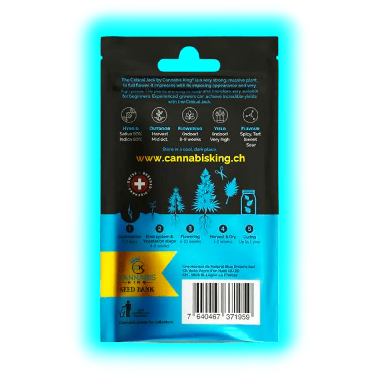 Cannabis King Critical Jack Seeds 3pcs