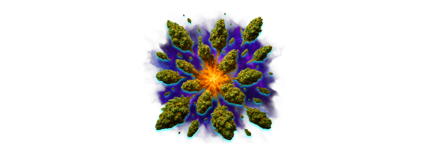 CBD Blüten mit dichten grünen Buds in dynamischer Darstellung vor leuchtendem Hintergrund
