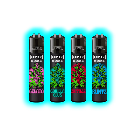 Clipper 4er CC Strainz 3 488-491