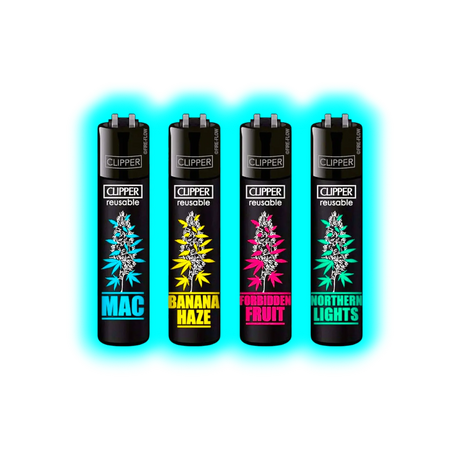 Clipper 4er Plants 7 832-835