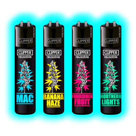 Clipper 4er Plants 7 832-835