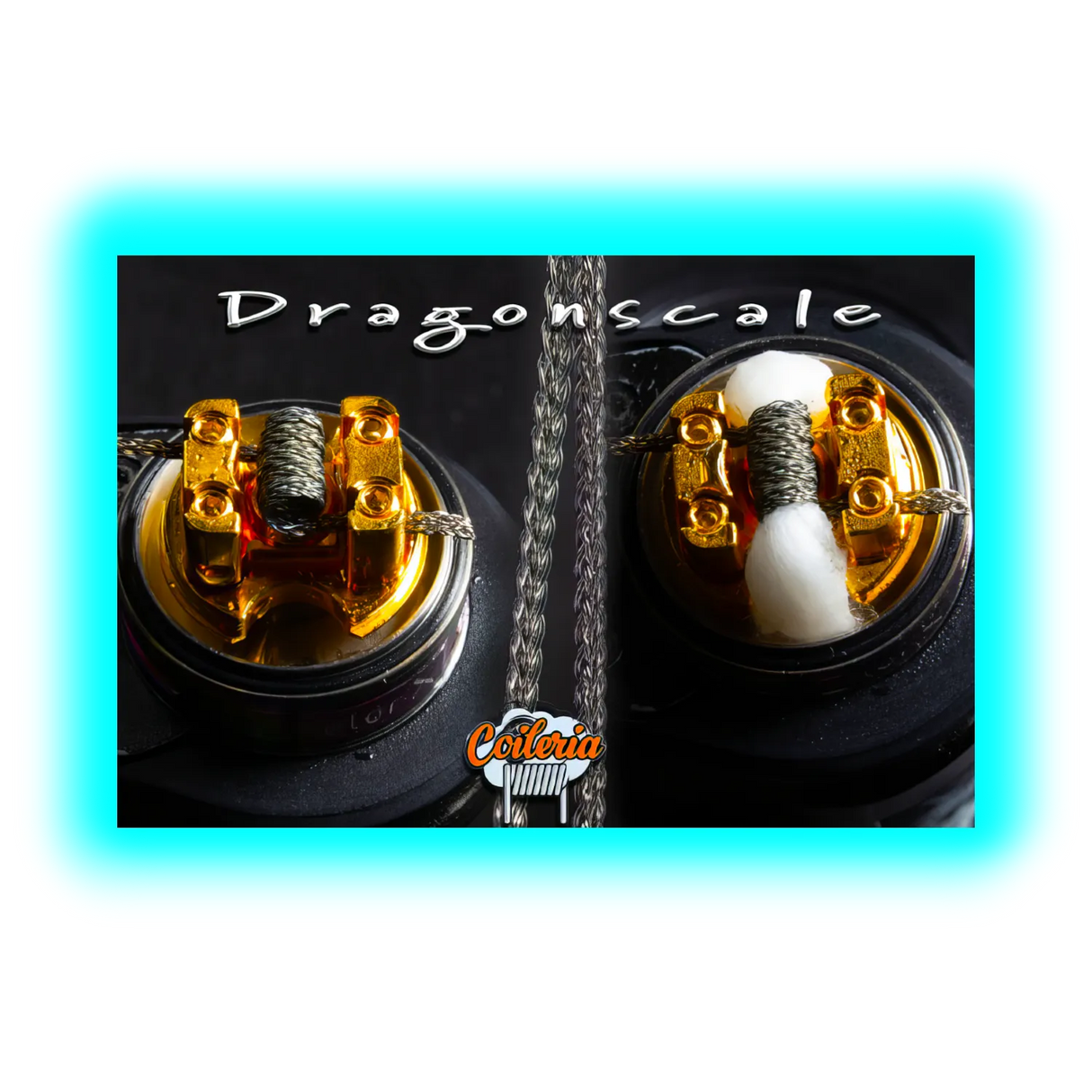 Coileria Dragonscale-Braid, Edelstahl