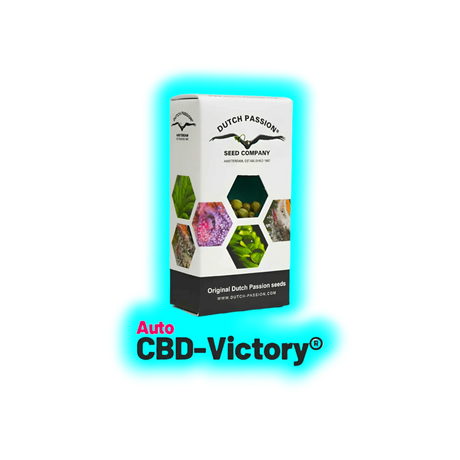Dutch Passion Auto CBD Victory 3pcs