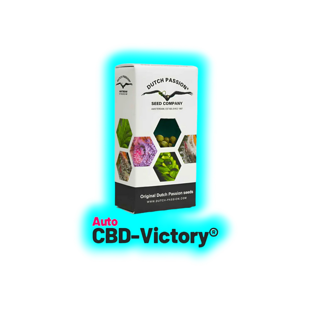 Dutch Passion Auto CBD Victory 3pcs