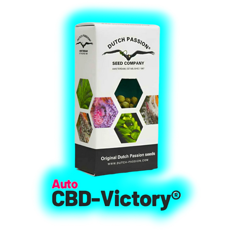 Dutch Passion Auto CBD Victory 3pcs