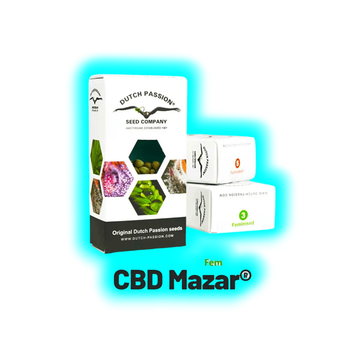 Dutch Passion CBD Mazar 10pcs