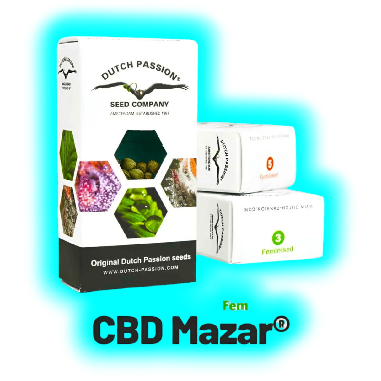 Dutch Passion CBD Mazar 10pcs