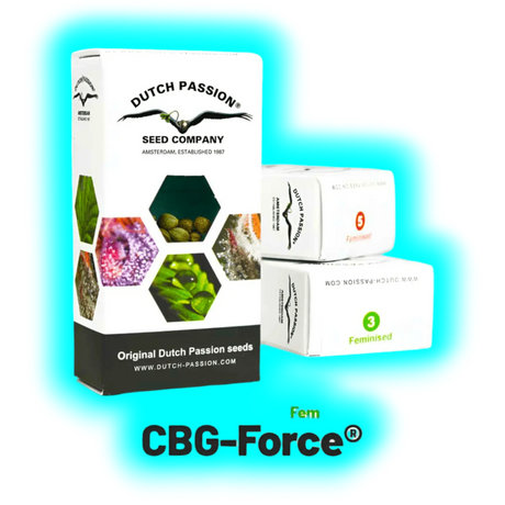 Dutch Passion CBG Force 3pcs