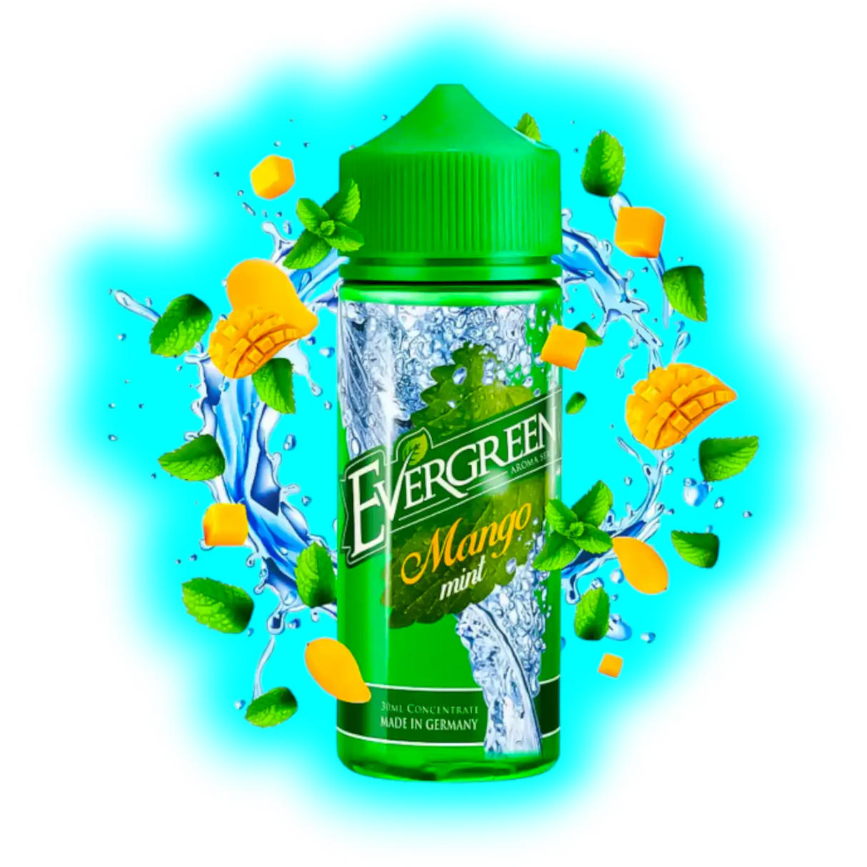 Evergreen Longfill Mango Mint 8/120ml