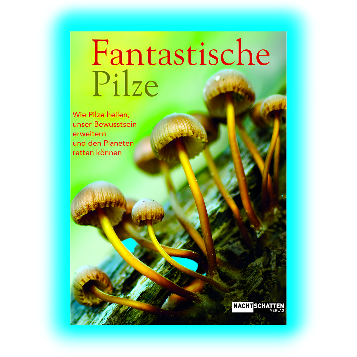Fantastische Pilze