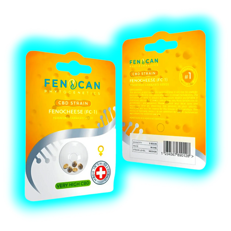Fenocan Fenocheese CBD Samen 3Stk