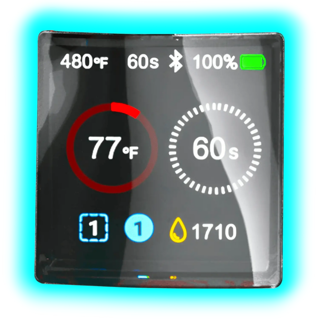Focus V Carta2 Bordeaux