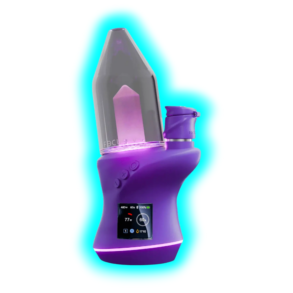 Focus V Carta2 Grape