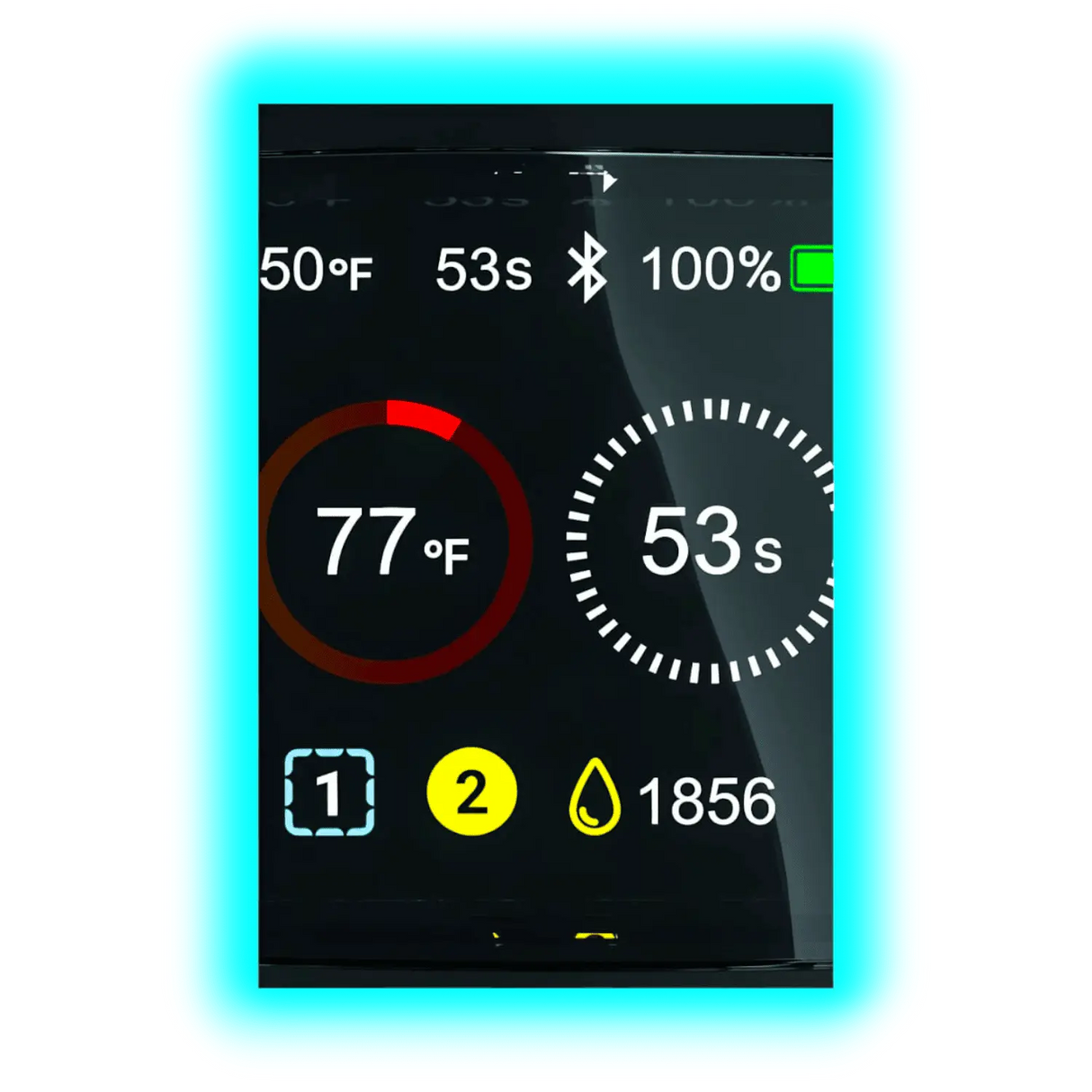 Focus V Carta2 Grape