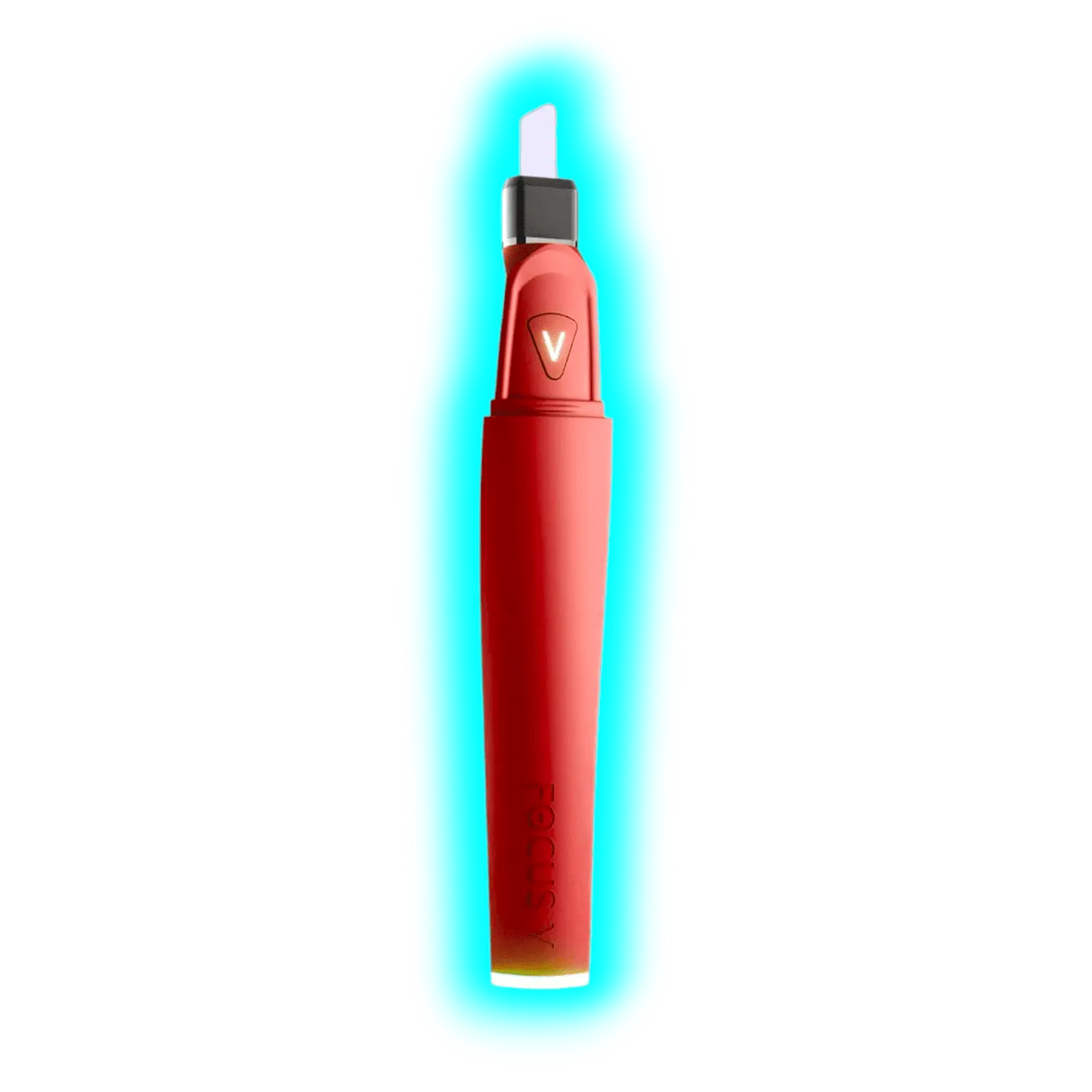 Focus V Saber Bordeaux