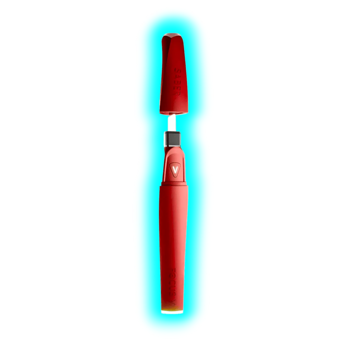 Focus V Saber Bordeaux