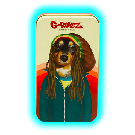 G-Rollz | Pets Rock Bobby Storage Box Medium 11.5x6.5x2.3cm