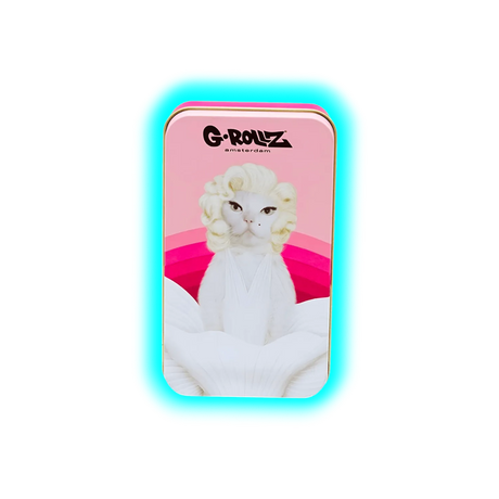 G-Rollz | Pets Rock Emily Storage Box Medium 11.5x6.5x2.3cm