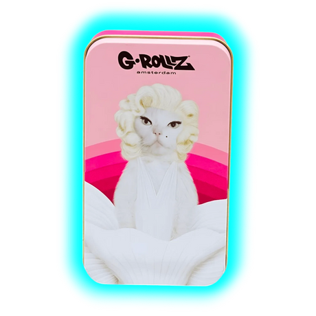 G-Rollz | Pets Rock Emily Storage Box Medium 11.5x6.5x2.3cm