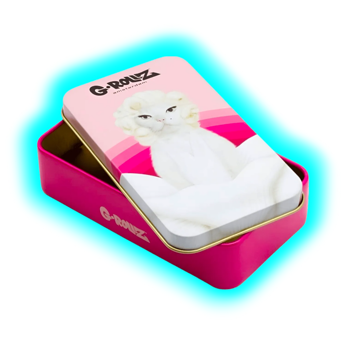 G-Rollz | Pets Rock Emily Storage Box Medium 11.5x6.5x2.3cm