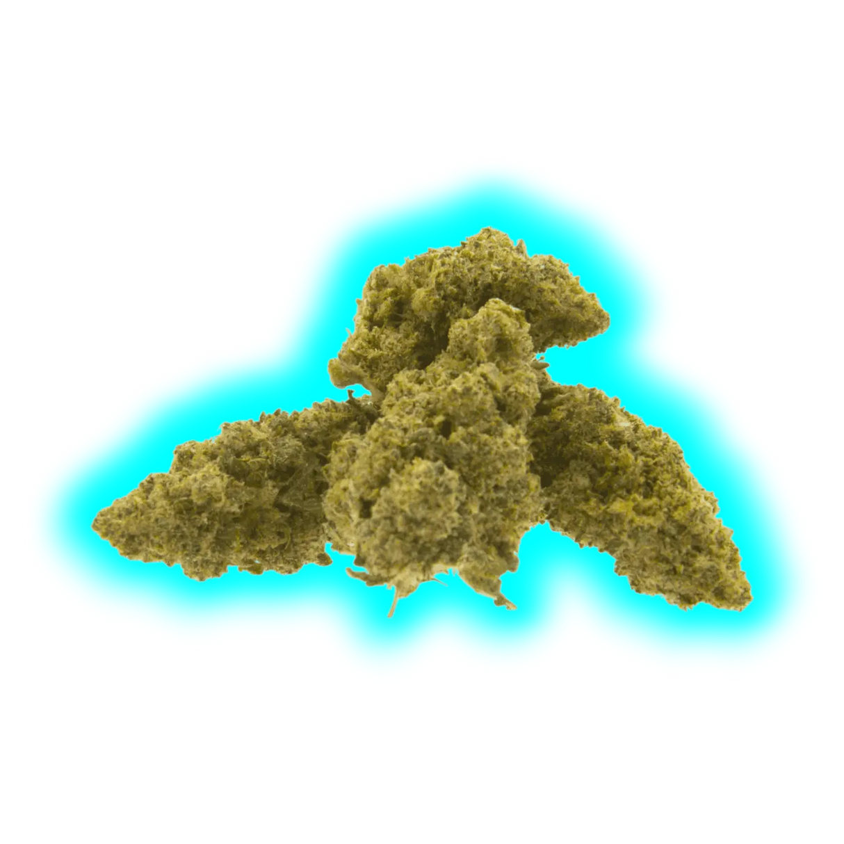 Hempy Cannatonic Indoor Fat Buds 12g