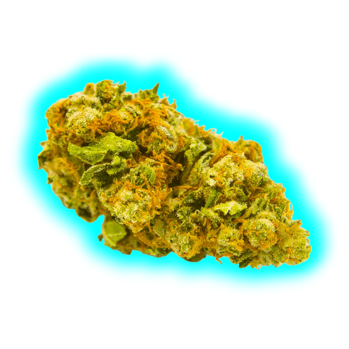 Hempy Harlequin Tsunami Indoor Fat Buds 2.0 New Genetic 12g