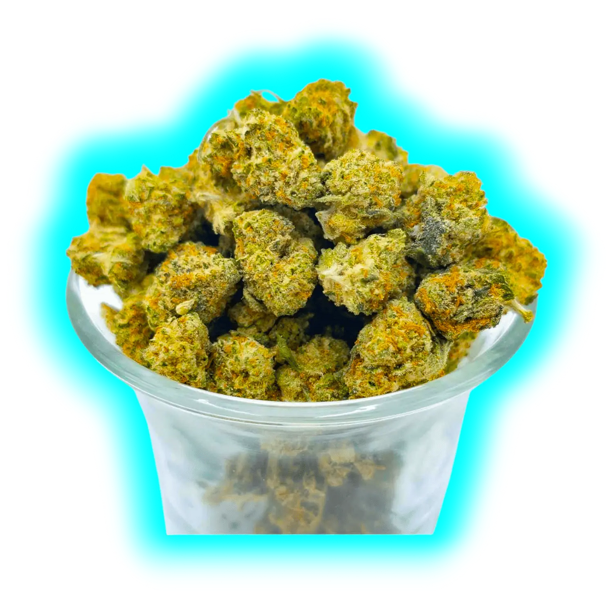 Hempy Harlequin Tsunami Indoor Small Buds 3.0 25gr