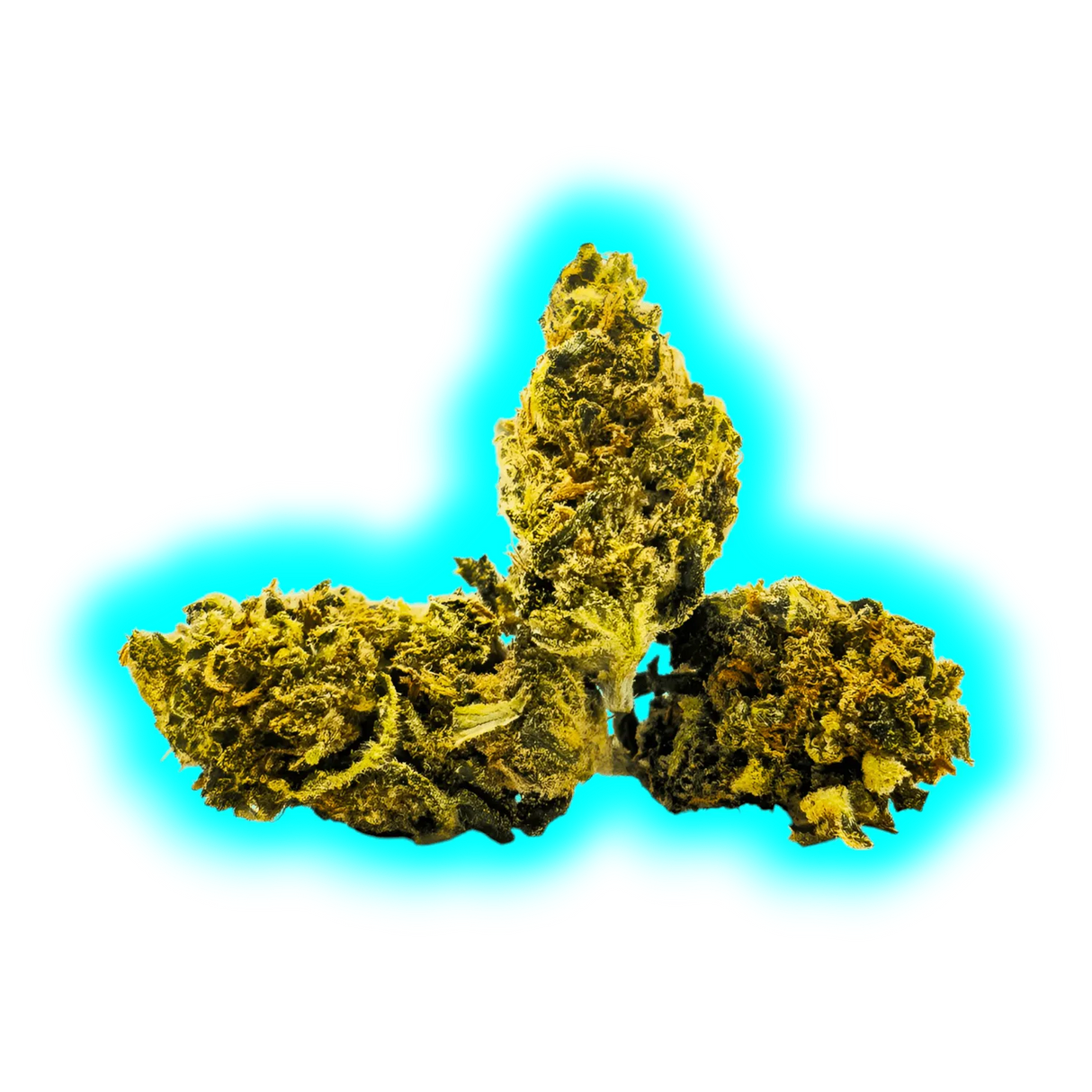 Hempy Pineapple Gaz Indoor Small Buds 25g