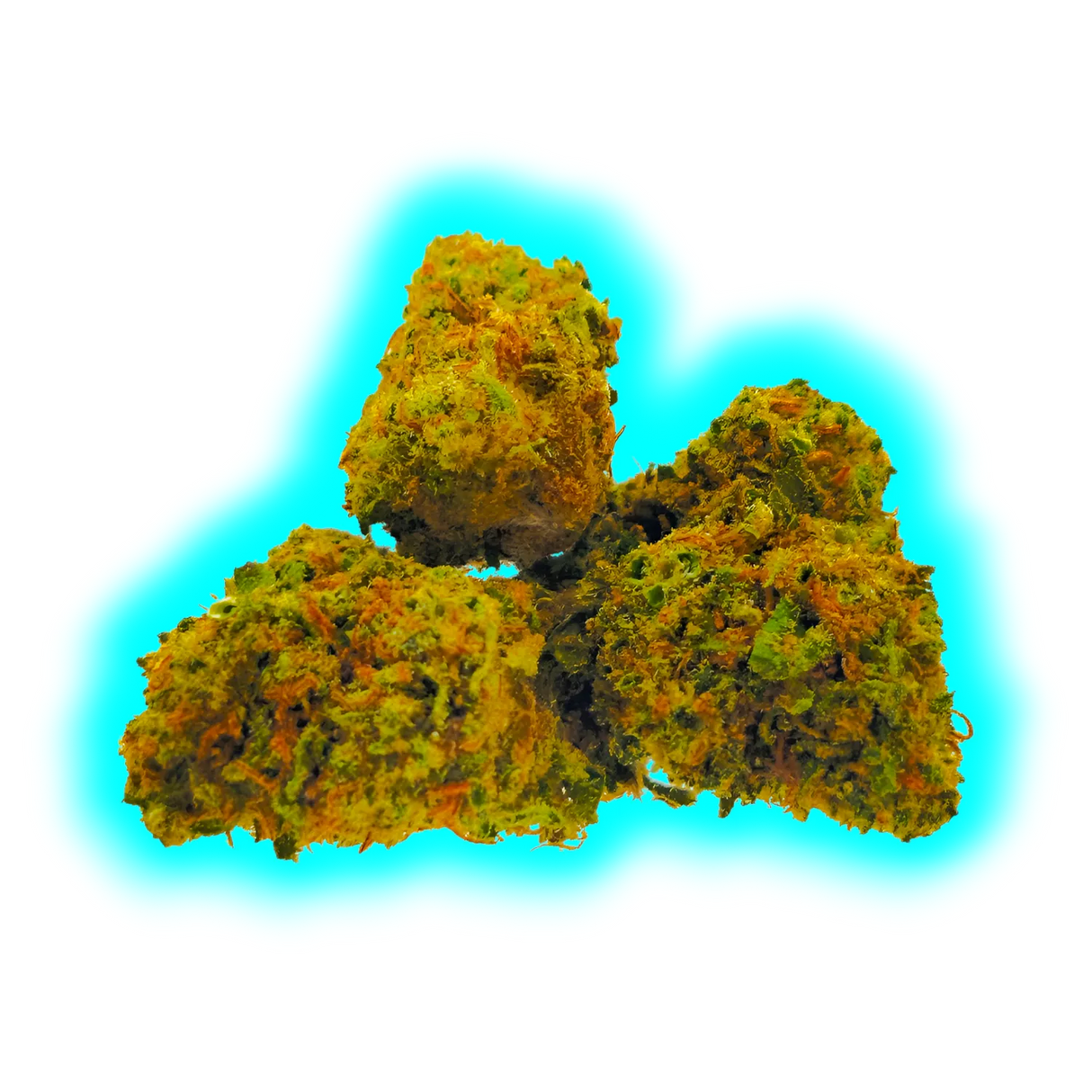 „Nahaufnahme mehrerer Hempy Zkittlez CBD Small Buds mit grünen und orangefarbenen Trichomen.“