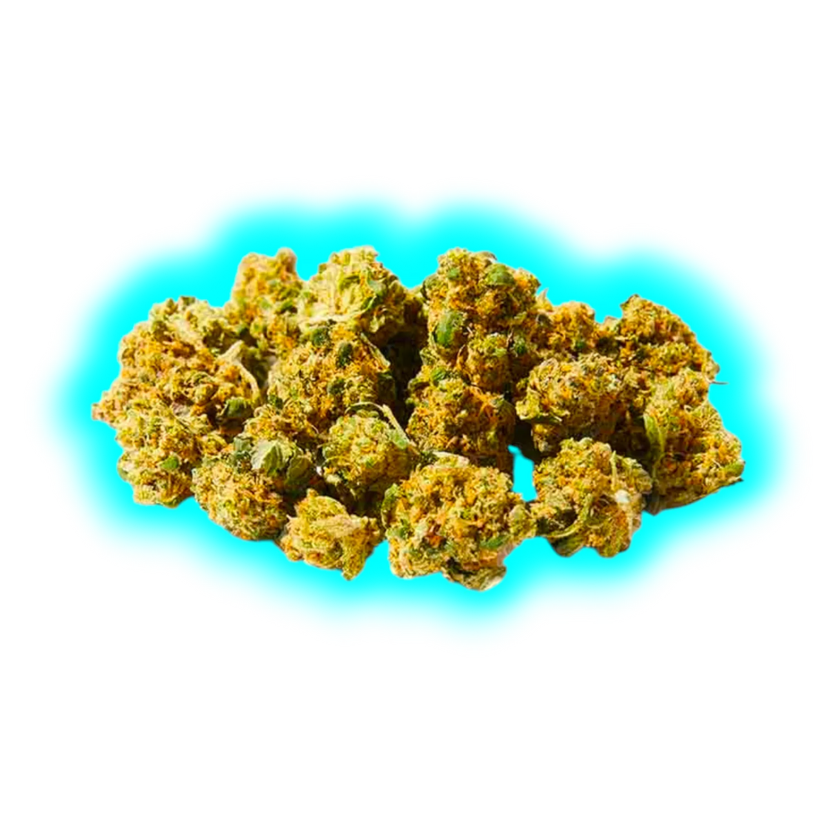 Herba di Berna Purple Punch Mini Buds 21g Indoor CBD Blüten Nahaufnahme der Blütenstruktur