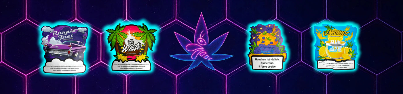 Cannabees CBD Blüten Kollektion mit verschiedenen Sorten und grafischen Verpackungen im neonbeleuchteten Setting