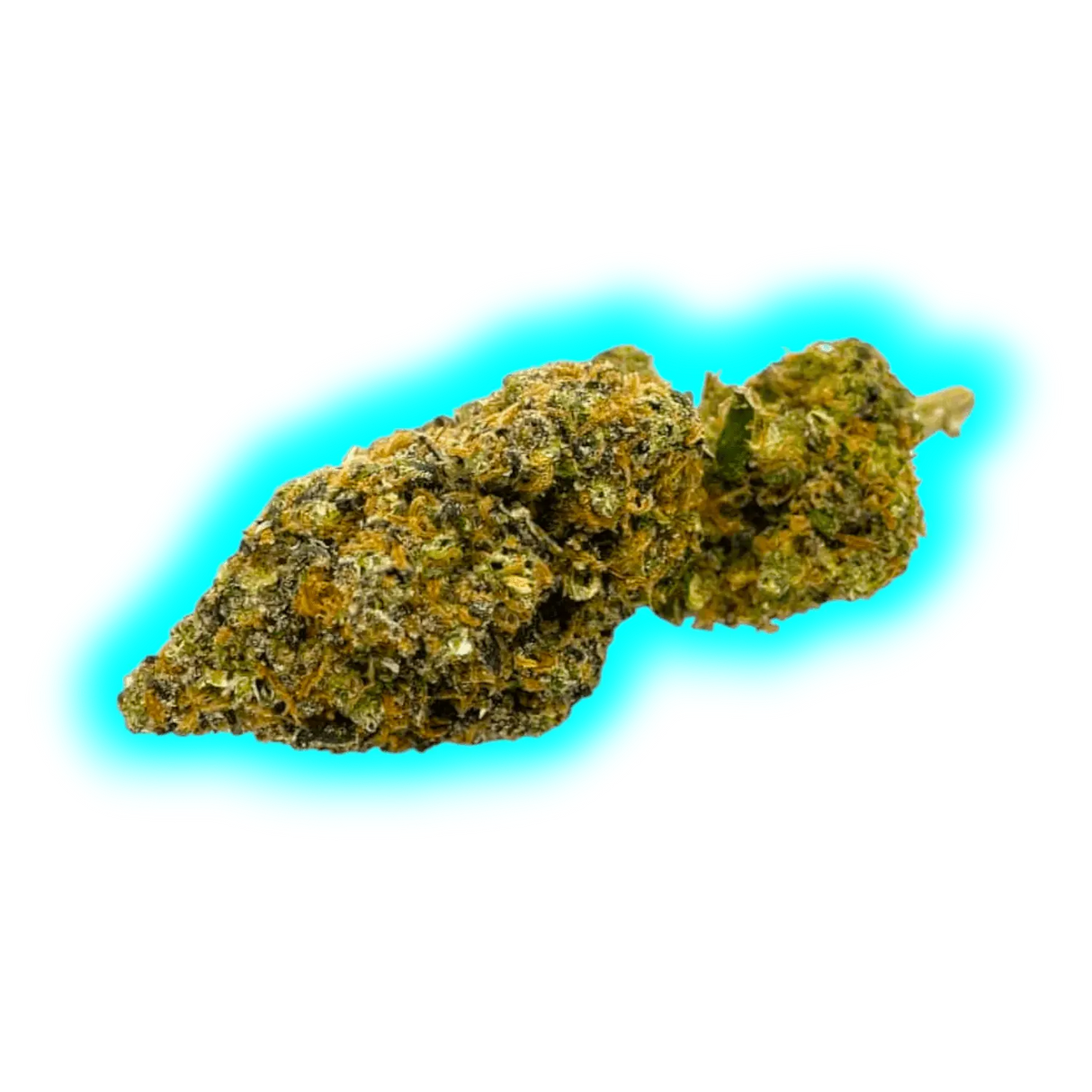 High Level Genetics Seeds Bombastic Berry 3pcs fem