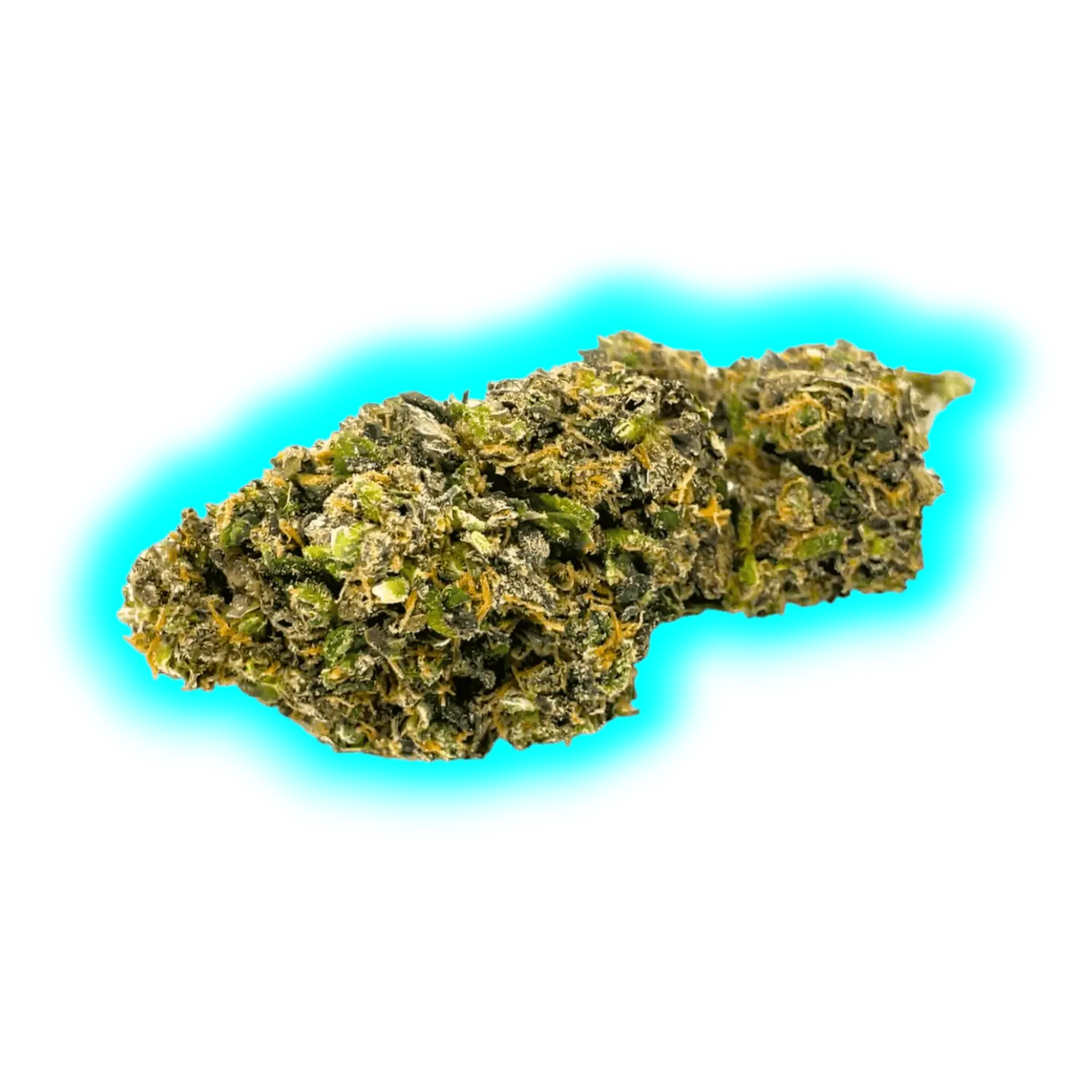 High Level Genetics Seeds Mailboo 3pcs fem