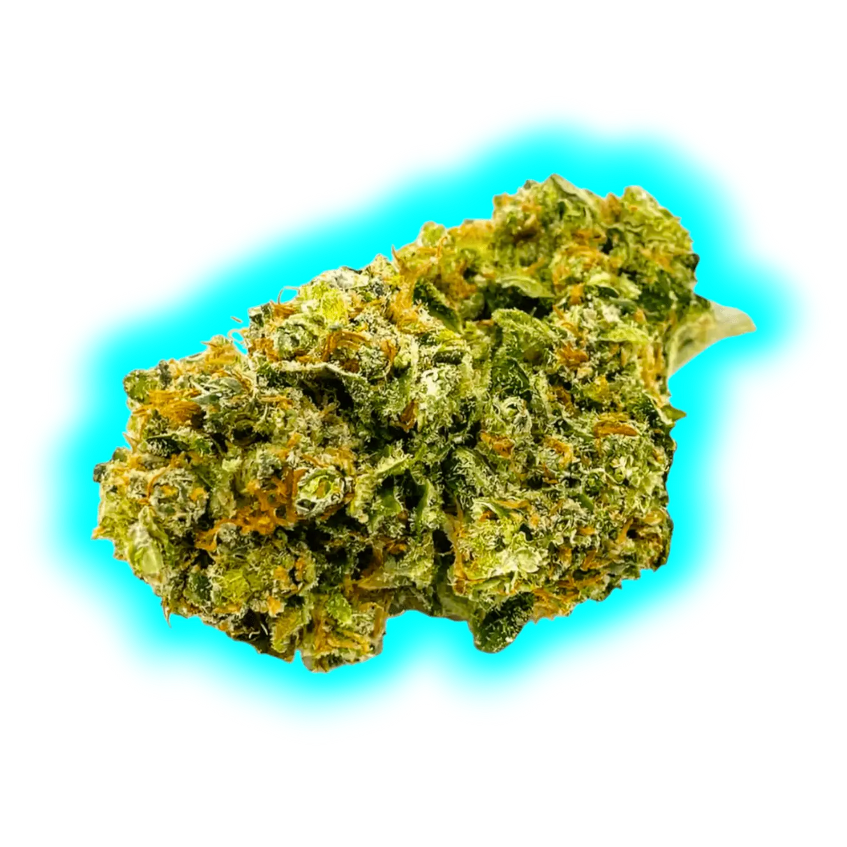 High Level Genetics Seeds Melonade 3pcs fem