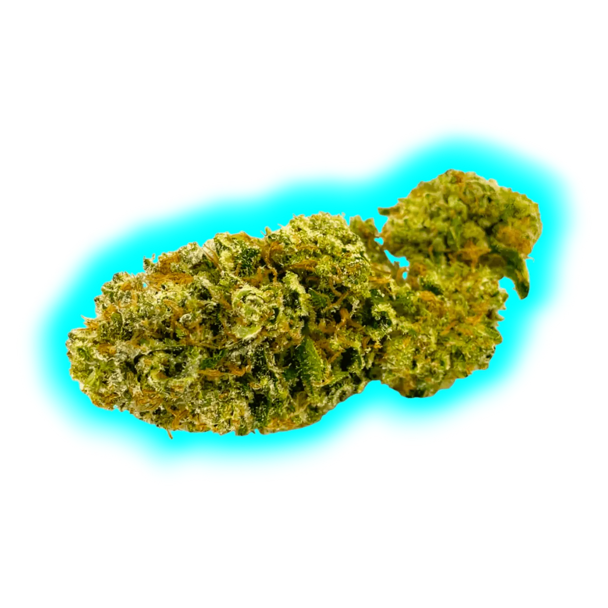 High Level Genetics Seeds Shiny Flake 3pcs fem