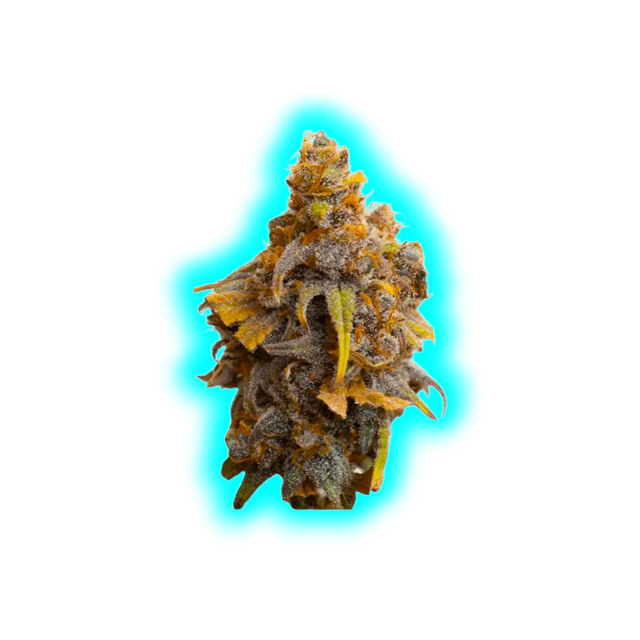 JYM's Strawberry CBD Seeds 3 pcs